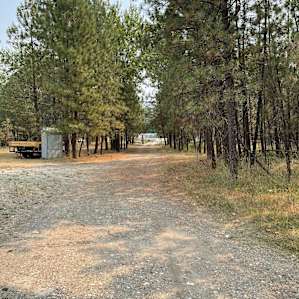 Road looking out of camp with lots of tree limbs. We pulled our trailer to the left around the porta potty to miss a lot of the low limbs.