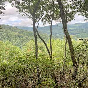 GLENVILLE HIGH TREEHOUSE (4000')