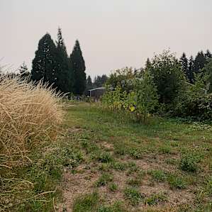 Yurt in the country