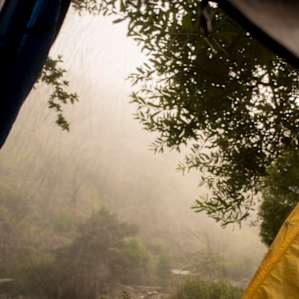 View from the tent looking up across the creek to the misty mountains.