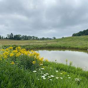 Scenic spot on herb and flower farm