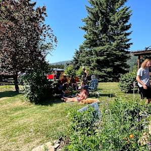 Campsite at Two Tall Farm: Selkirks