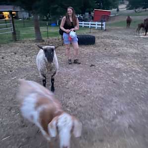 Dream Acres Homestead