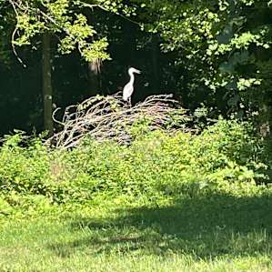 Legacy Creek Acres