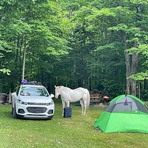 Someplace Else Camp