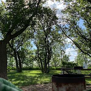 View from my hammock.
