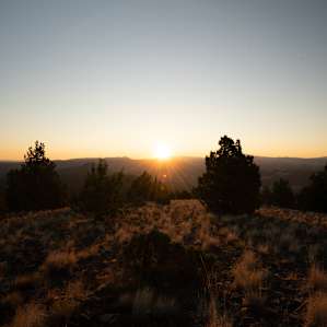 Bucking Horse Ranch
