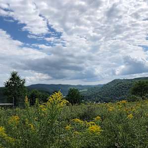 Free Verse Campground