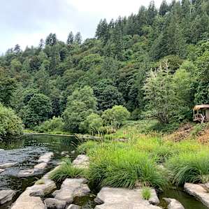 You can see the cabin off to the right, such a perfect spot!