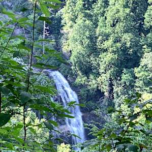 Whitewater Falls - easy drive from The Nest