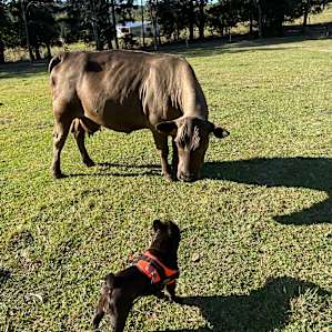 Meeting new friends🥰 Don’t forget the carrots and apples!