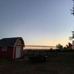 Black Poplar Farm