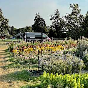 Flower Farm with Territorial Views