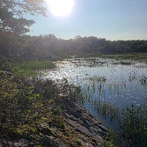 Paddle-In Waterfront Camping on Sparrow Lake for 12