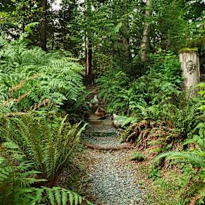 Magnolia Cottage Big Foot B&B