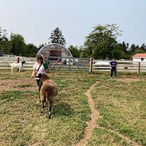 Great farm tour
