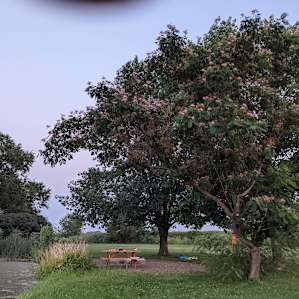 Camping spot #5 by the pond and old runway. The trees provide great shade!