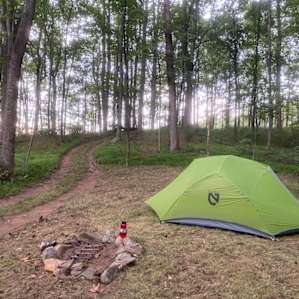Campsite 1. Not in view are the provided trash bin and water cooler. We didn't take many pictures unfortunately