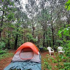 My home for the night