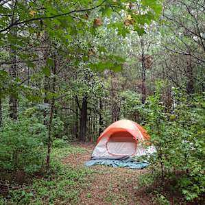Secluded little campsite