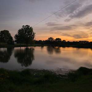 On Cedar Pond