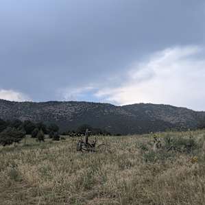 Beautiful views from the property.