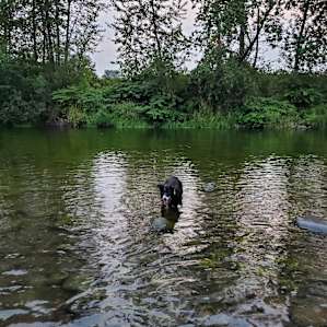 Great river access