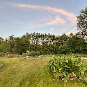 The Forest at Laurenwood Farm