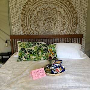 Philly Glamping Treehouse