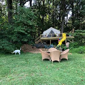 Philly Glamping Treehouse