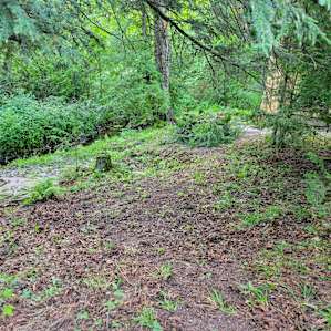 Creek side cabins and tent camping
