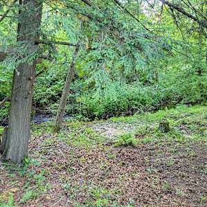 Creek side cabins and tent camping
