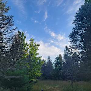 Camp Stonewood Ranch