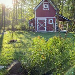 Beautiful Wilderness Cabin