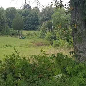 Secluded Glen on Prayer Mountain