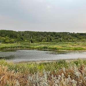 view from riverside site