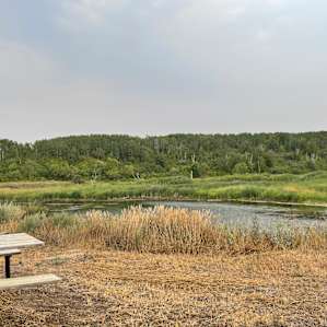 riverside site