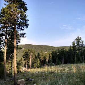 View from the property