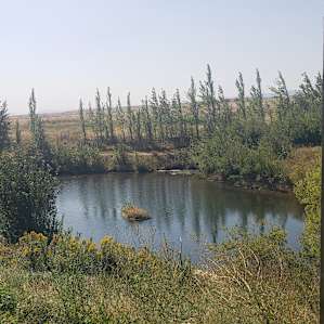Walk near the ponds