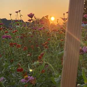 Flower Farm with Territorial Views