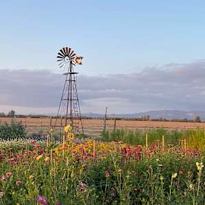 Flower Farm with Territorial Views