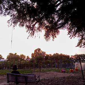 Fruit Orchard and Hemp Farming