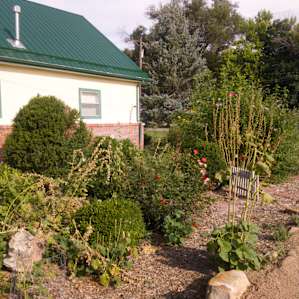 Fruit Orchard and Hemp Farming