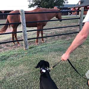 Luxury lodging at aKa Stables