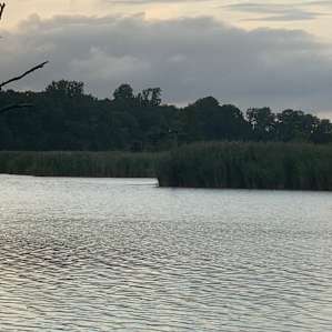 From the canoe around the island