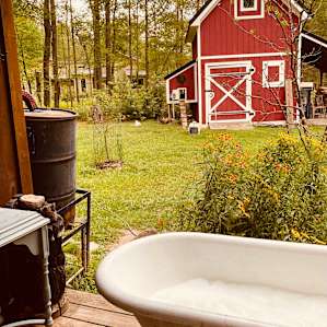 Beautiful Wilderness Cabin