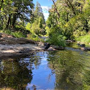 Peaceful Riverside at North Fork