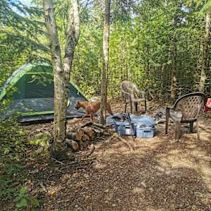 Nice sized campsite (our tent is a 4-person)