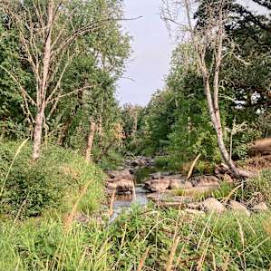 Creek view at bottom of little nature trail.
