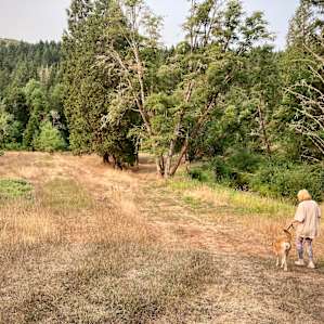 The walk down little nature trail.